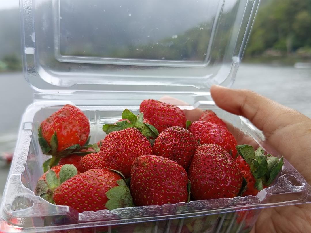 Strawberry Segar / foto: Oktaviani Sindy