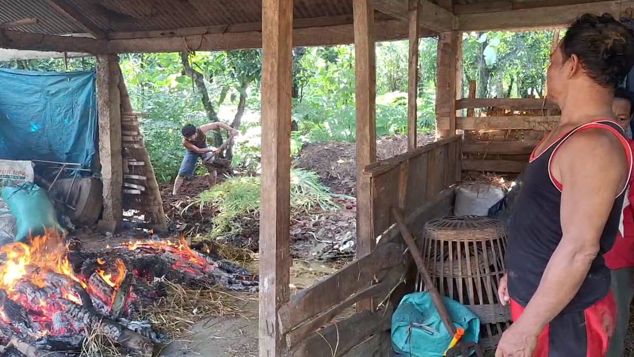 MUSNAHKAN: Suparmin, warga Dusun Pencol, Randusongo, Gerih, Ngawi membakar alat-alat dan sebagian kandang yang ditempati dua sapinya yang mati karena PMK.