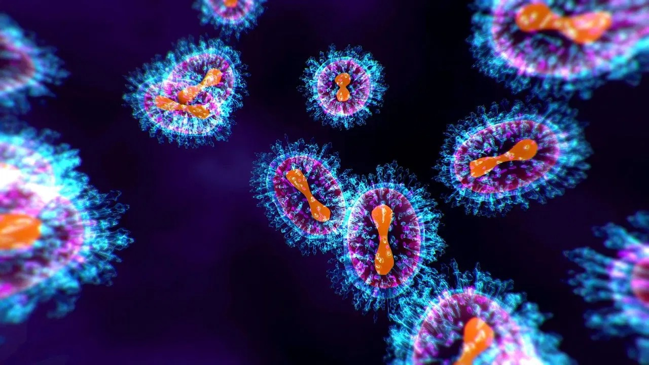 Ilustrasi Virus HMPV yang sudah mulai masuk ke Tanah Air