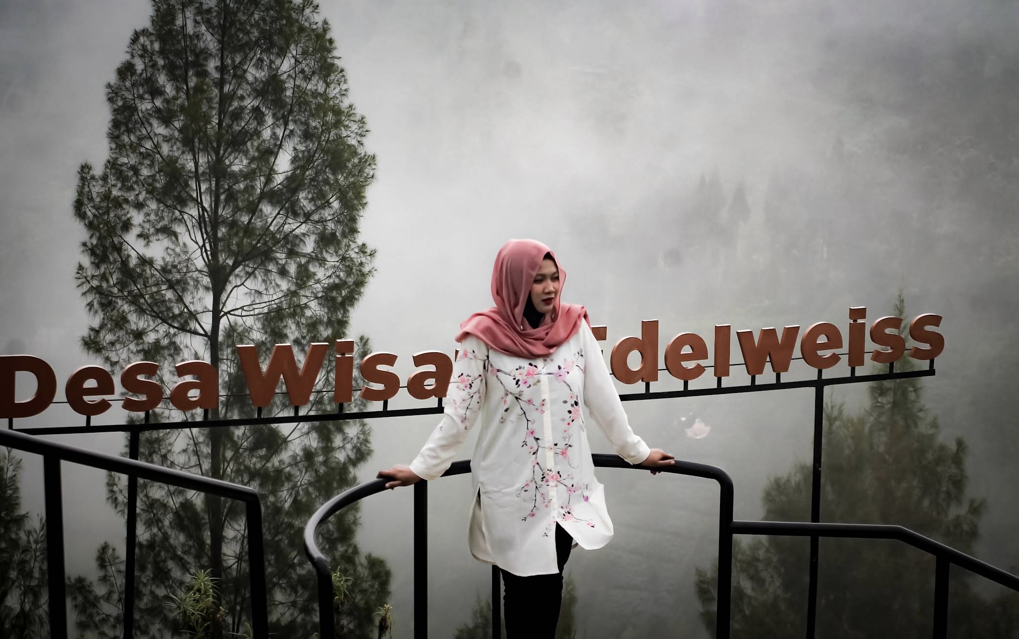 Desa Wisata Edelweiss, menjadi destinasi wisata yang wajib dikunjungi saat berada di Pasuruan