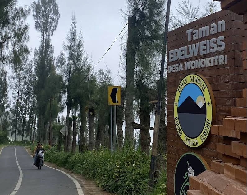 Panduan rute dan tips berkunjung di Desa Wisata Edelweiss