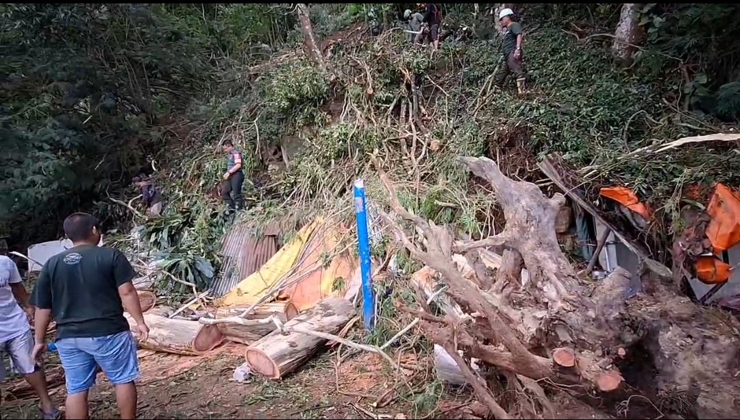 Pohon tumbang di Telaga Sarangan menimpa tiga warung.