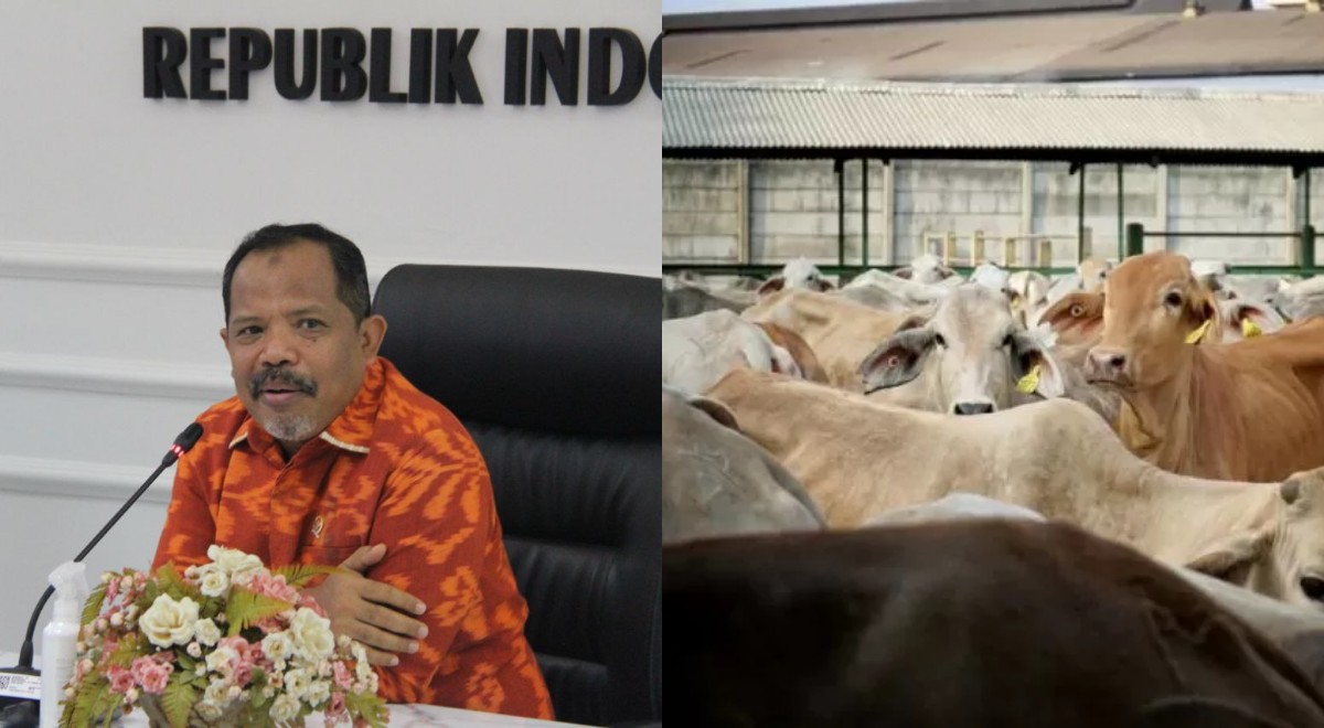 DPR soroti risiko impor sapi Brasil, desak pemerintah prioritaskan peternak lokal untuk wujudkan ketahanan pangan nasional.