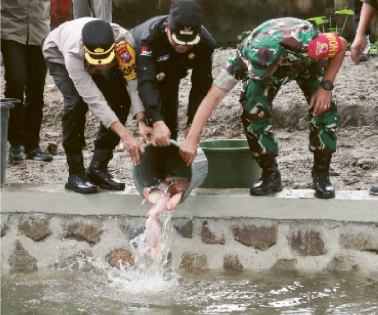 KETAHANAN PANGAN: Kapolres Ponorogo AKBP Andin Wisnu Sudibyo menanam bibit pisang cavendish di lahan kosong Desa Bringinan, Jambon, Ponorogo.