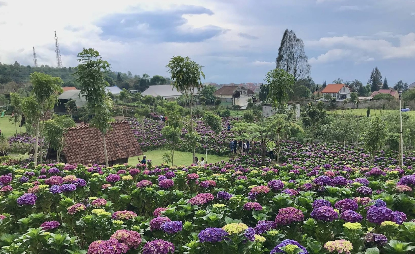 Wisata Dusun Kuliner Batu, Malang, Jawa Timur