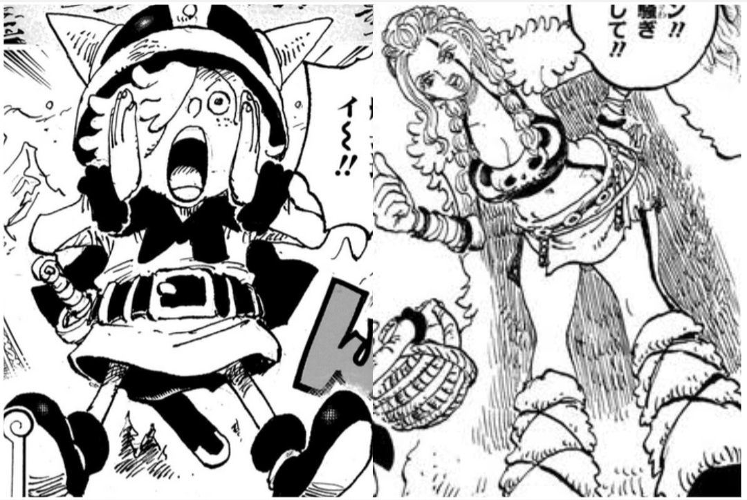 Nama Colon dan Ripley One Piece serta raksasa Elbaph terinspirasi pegulat.