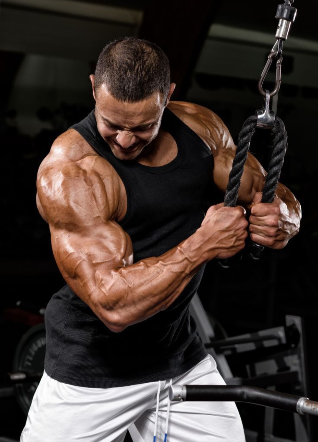 Ilustrasi gym.