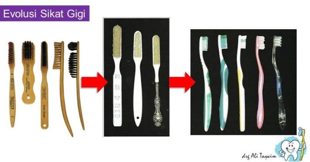 Evolusi sikat gigi.