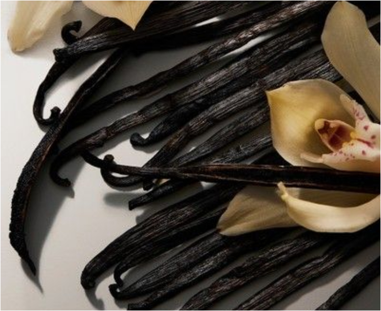 Rekomendasi Parfum Vanilla dengan Wangi Unik
