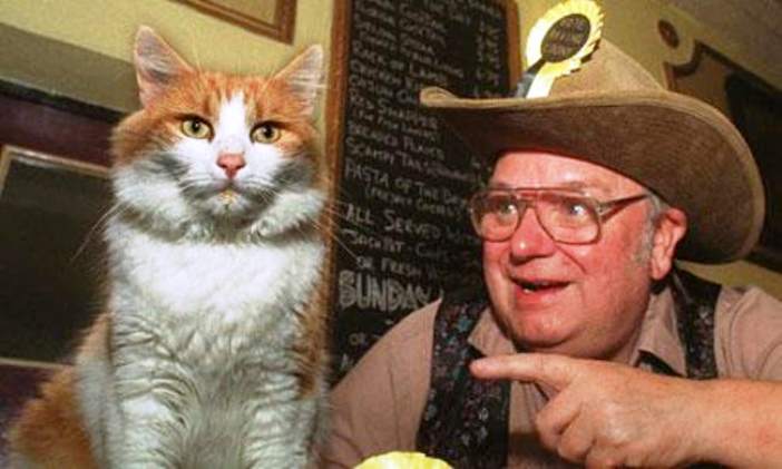 Catmando, kucing pemimpin partai politik