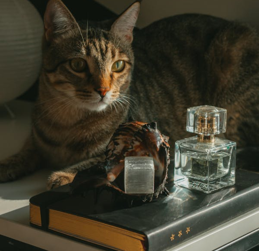 Ilustrasi parfum lokal