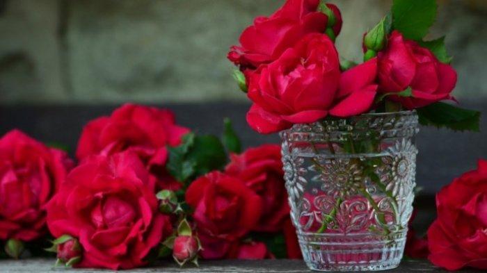 Ilustrasi aroma mawar