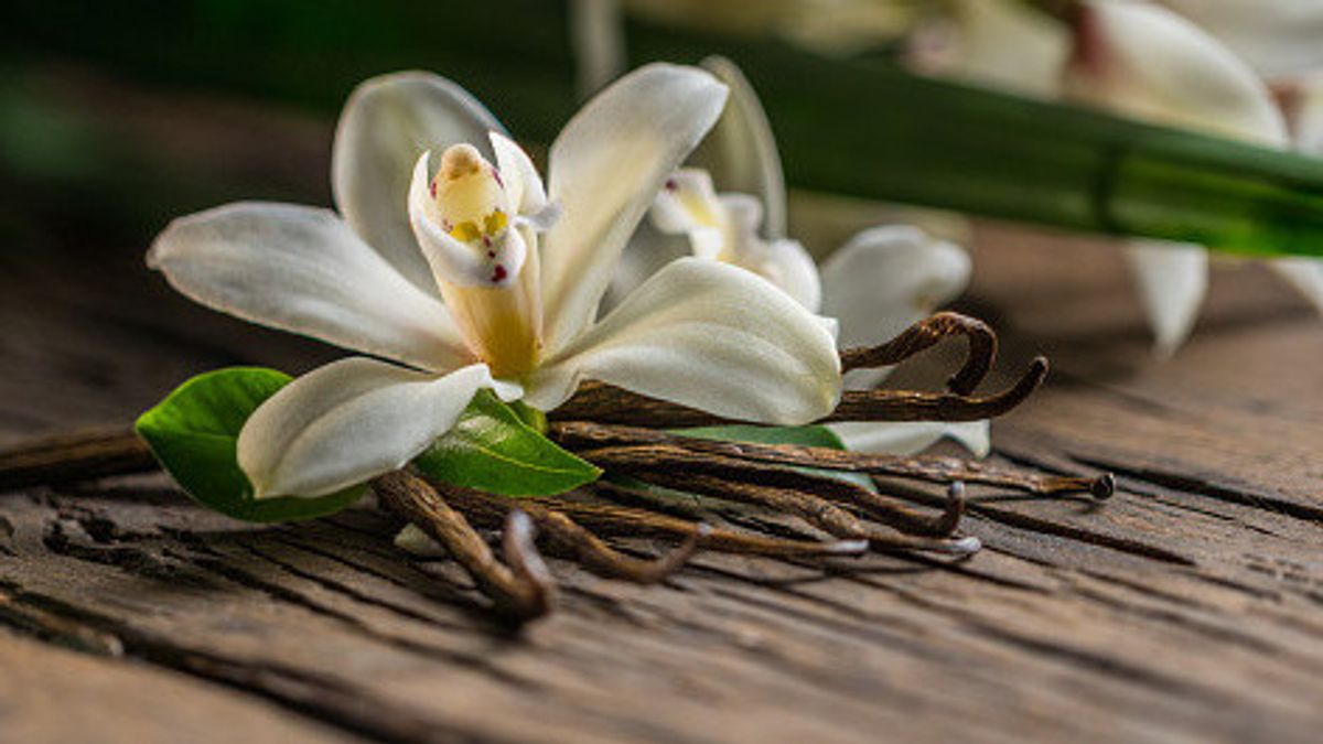 Ilustrasi aroma vanilla mint