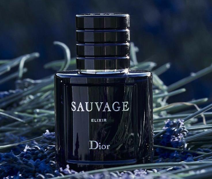 Rekomendasi parfum mix outdoor untuk pria.