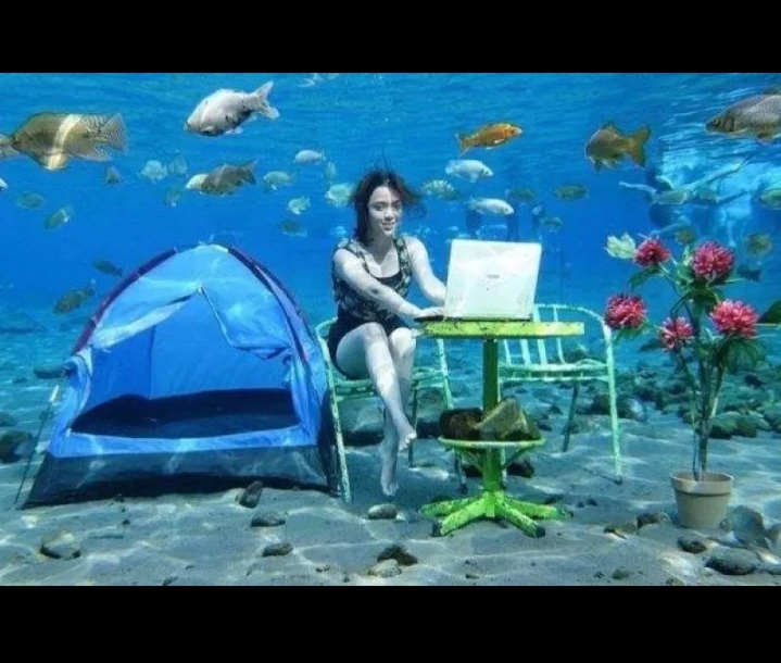 Snorkeling menjadi wahana menarik di Umbul Ponggok.