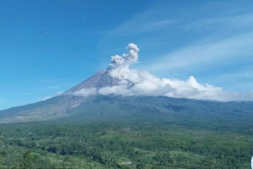 Gunung Semeru erupsi dengan letusan setinggi 800 meter di atas puncak pada Jumat (4/4/2025).