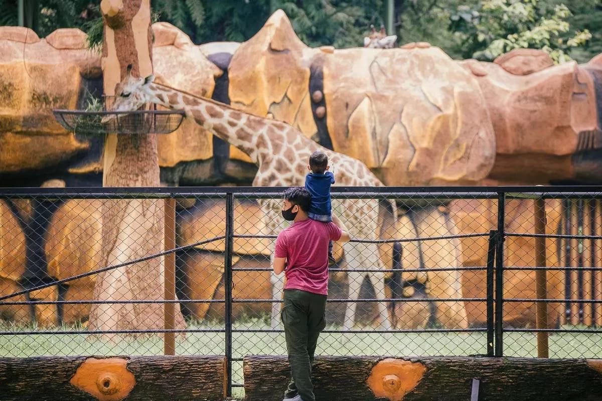 Rekomendaasi wisata kebun binatang di Jawa Timur