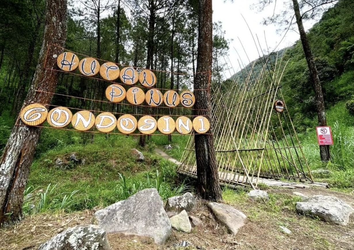 Hutan Pinus Gondosuli, Destinasi Wisata Hits di Wonogiri