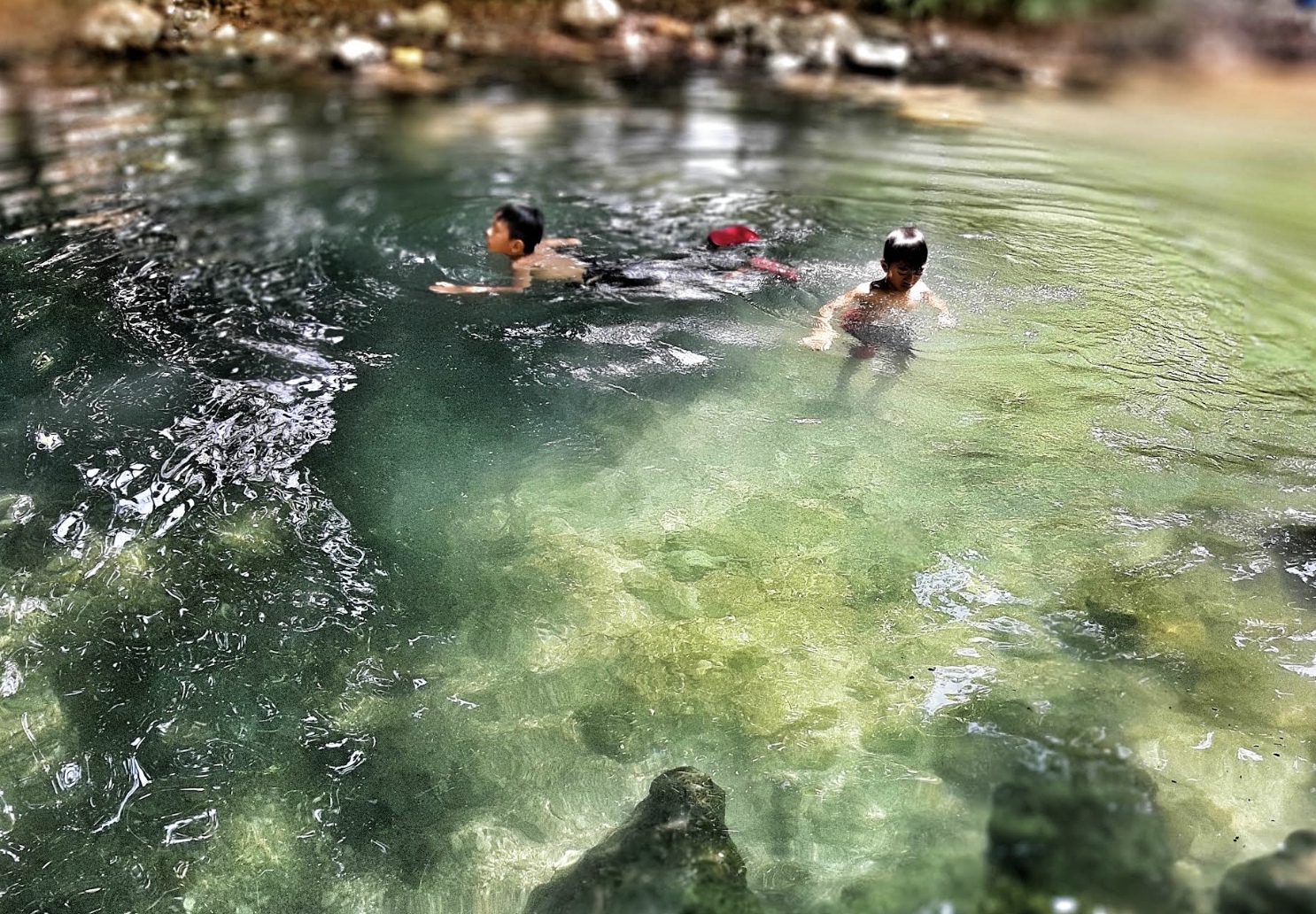 Growgoland menjadi tempat yang sempurna untuk healing.