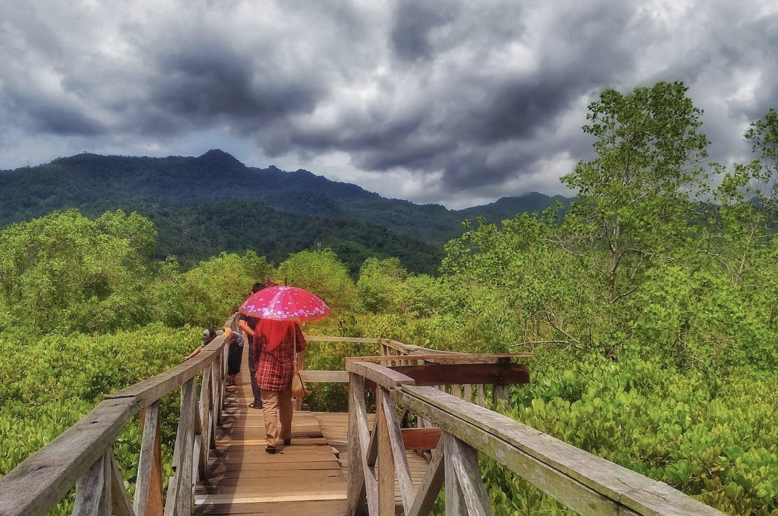 Hutan Mangrove Pancer Cengkrong Trenggalek