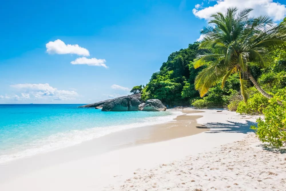 Rekomendasi pantai hidden gem Malang