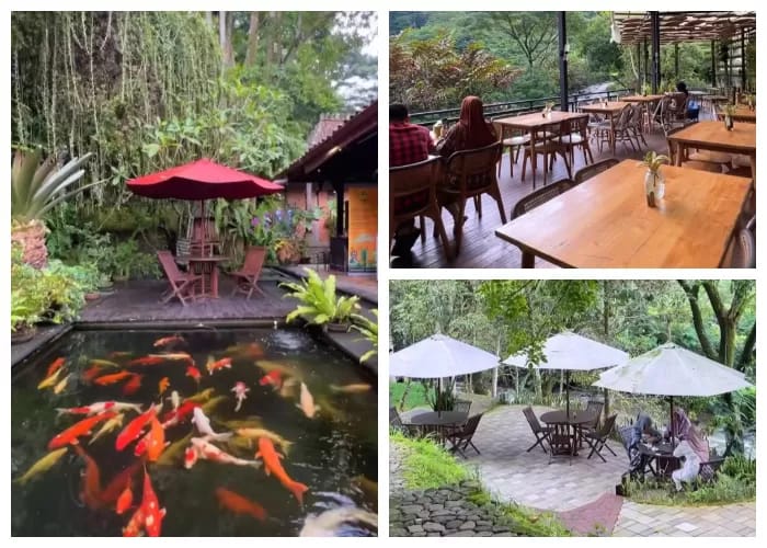 Rekomendasi cafe Ciwidey