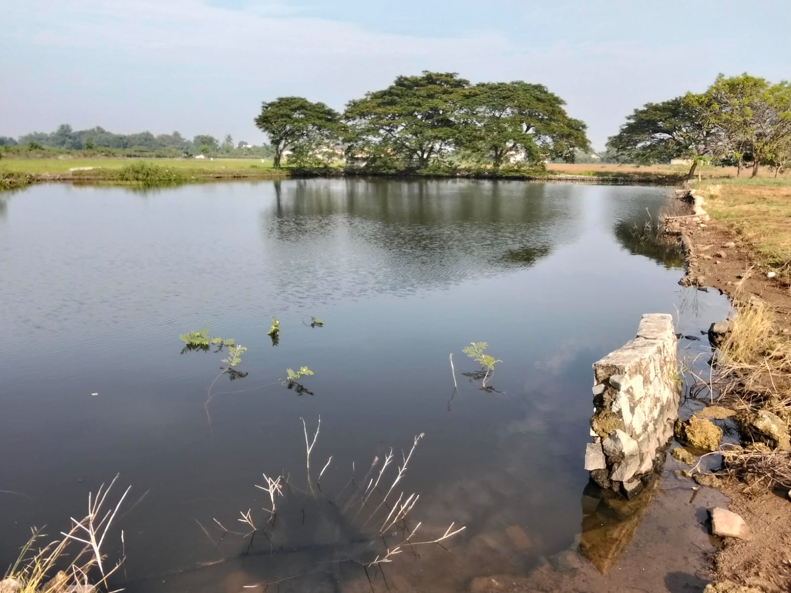 Danau di TPU Karang Bahagia, Bekasi.