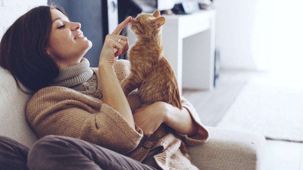 Si meong jutek kalau ada orang baru? Tenang, ada 5 trik biar dia cepat akrab dan jadi manja total!