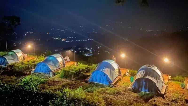 Rute lokasi, jam buka, daya tarik, HTM, wisata kebun teh jamus