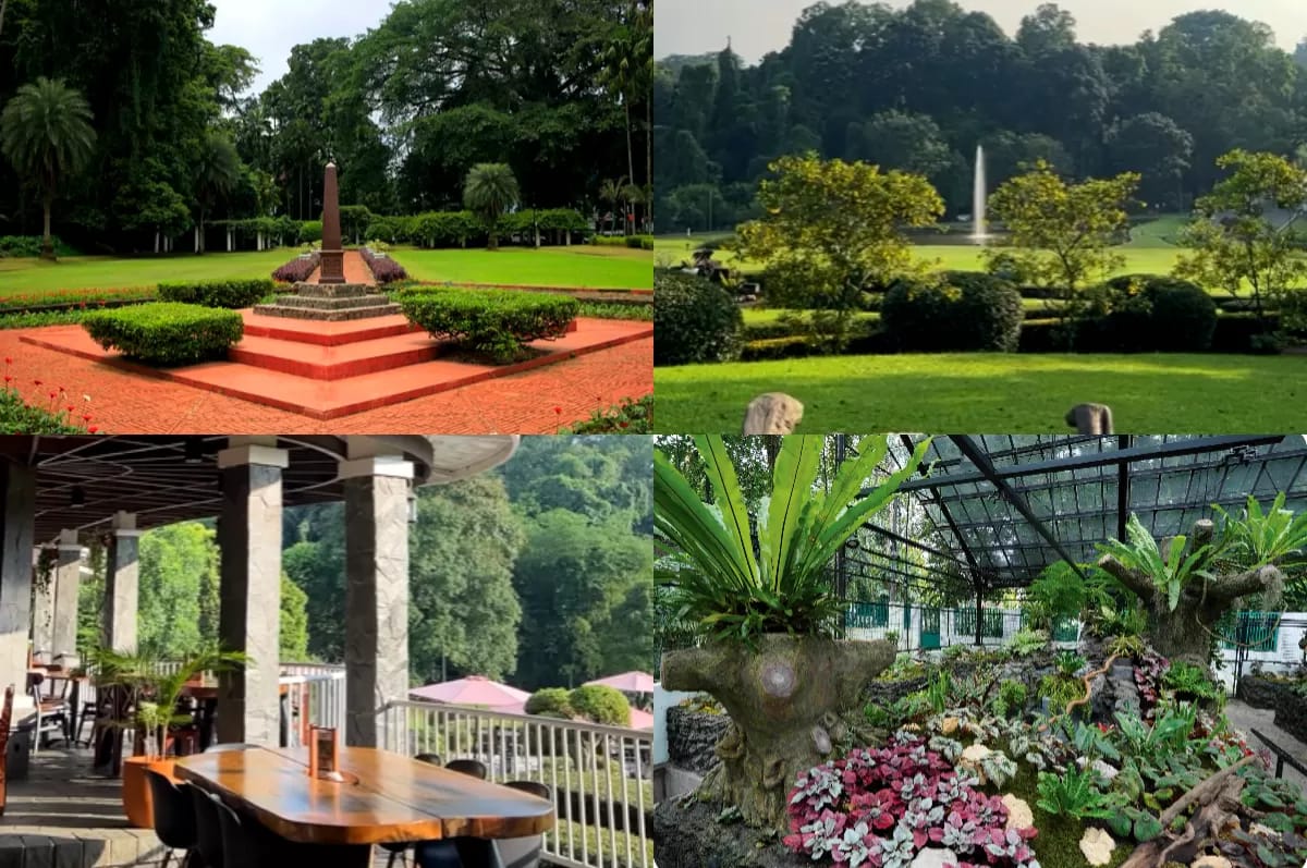 Kebun Raya Bogor: daya tarik, rute, lokasi, dan aktivitas seru