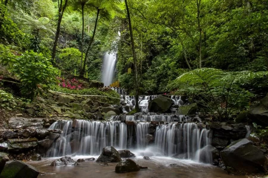 Wisata Air Terjun Dlundung: daya tarik, rute lokasi, serta aktivitas menarik lainnya