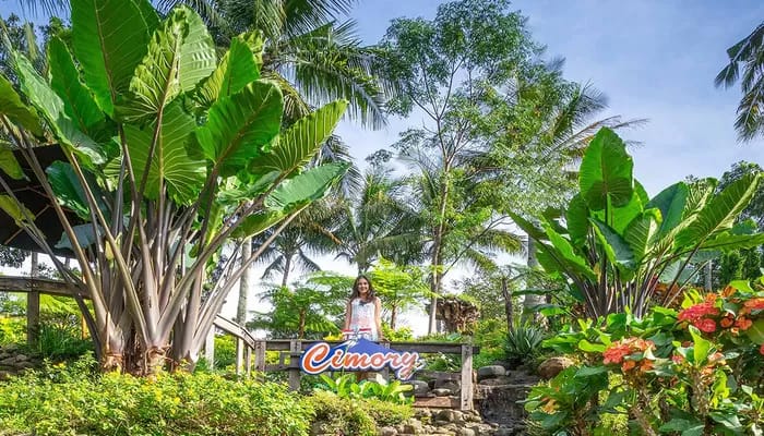 Cimory On The Valley: rute lokasi, daya tarik, aktivitas seru