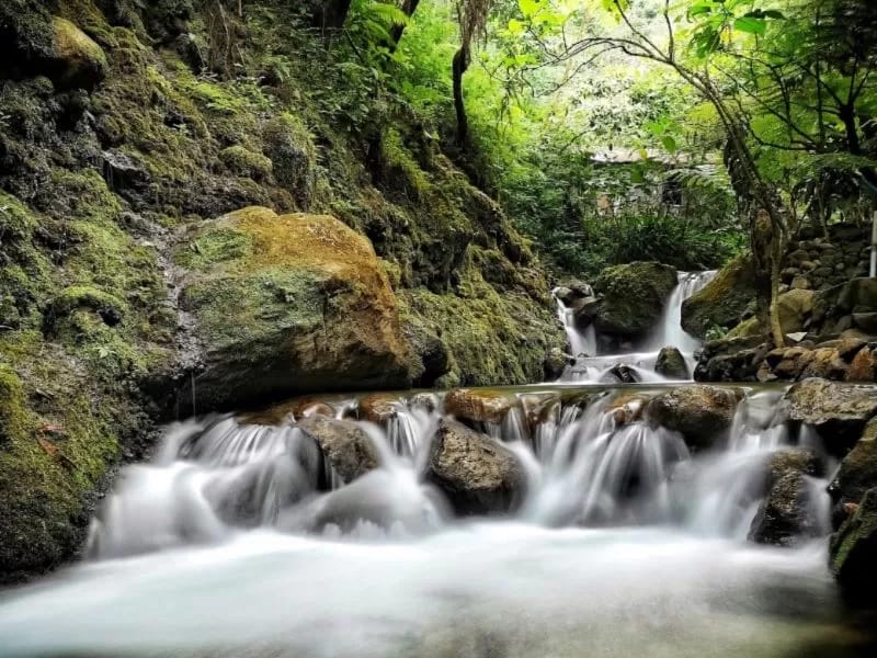 Ngargoyoso Waterfall: daya tarik, aktivitas seru, rute menuju lokasi