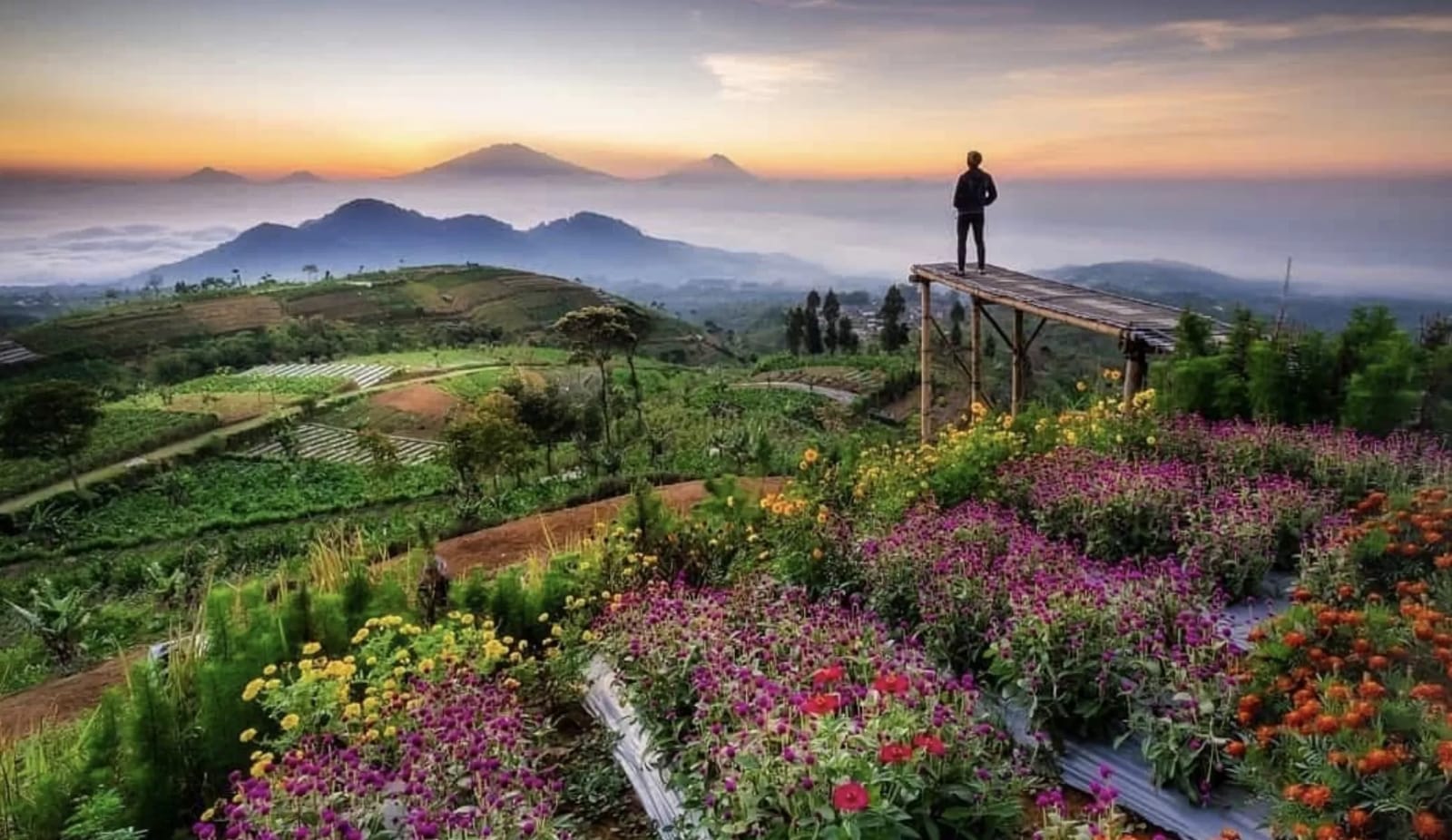Silancur Highland; daya tarik, akivitas seru, rute menuju lokasi, tips berkunjung