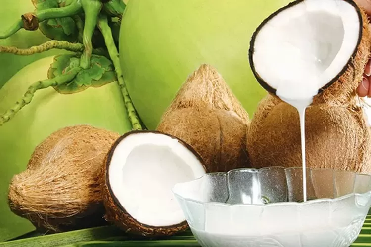 Ilustrasi Santan Kelapa