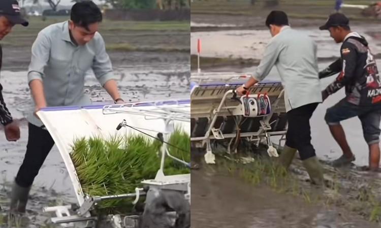 Aksi tanam padi Wapres Gibran di Ngawi viral karena melangkah maju dan menginjak padi yang baru ditanam, menuai kritik netizen.