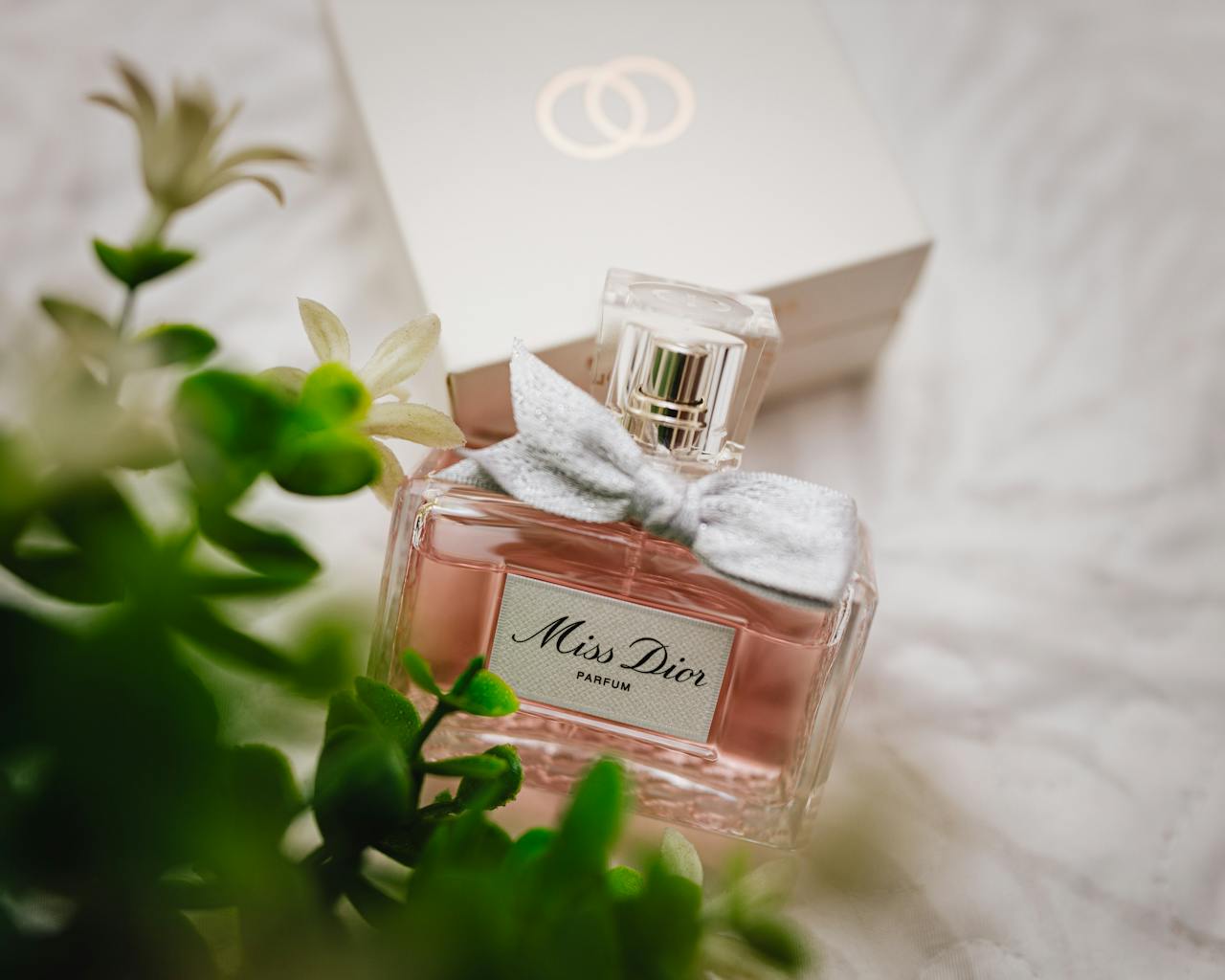Rekomendasi Parfum dengan Aroma Soft dan Menempel