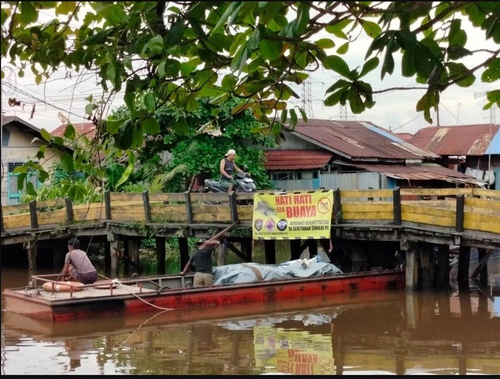 Buaya muncul di Sungai Jafri Zam-Zam, anak-anak dilarang mandi, petugas terus siaga dan sisir lokasi.
