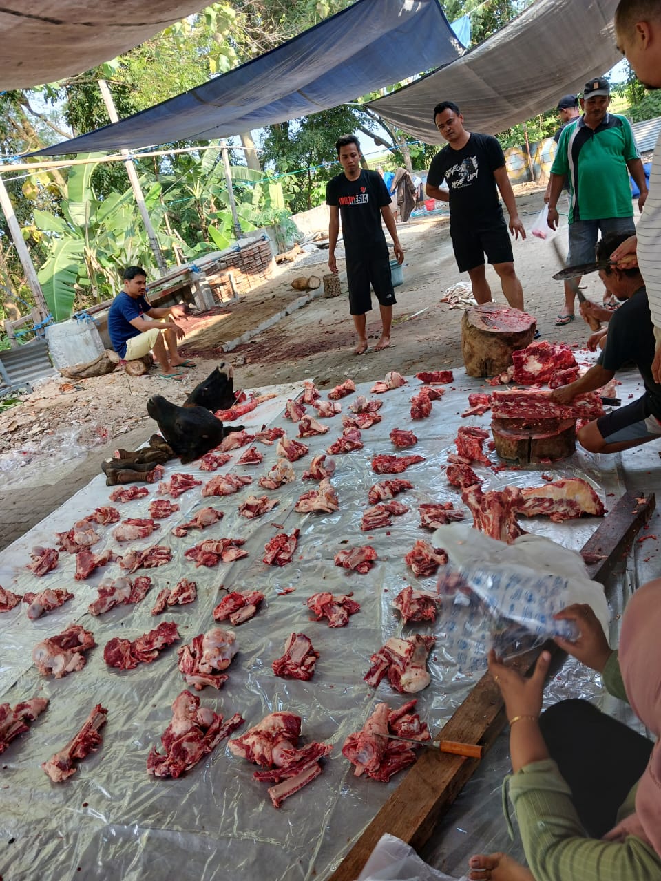 Sudah tahu siapa saja yang berhak menerima daging kurban? Cek daftarnya, jangan sampai salah kasih ya!