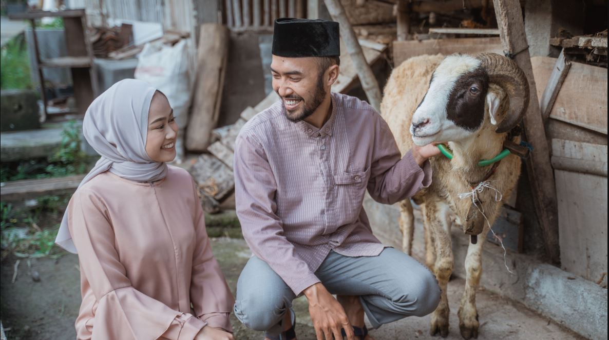 Biar kurban nggak sekadar motong hewan, jalani 6 sunnah ini&mdash;pahala dijamin meroket!