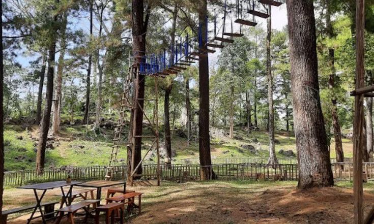 Baturraden Adventur Forest: daya tarik, aktivitas seru, rute lokasi