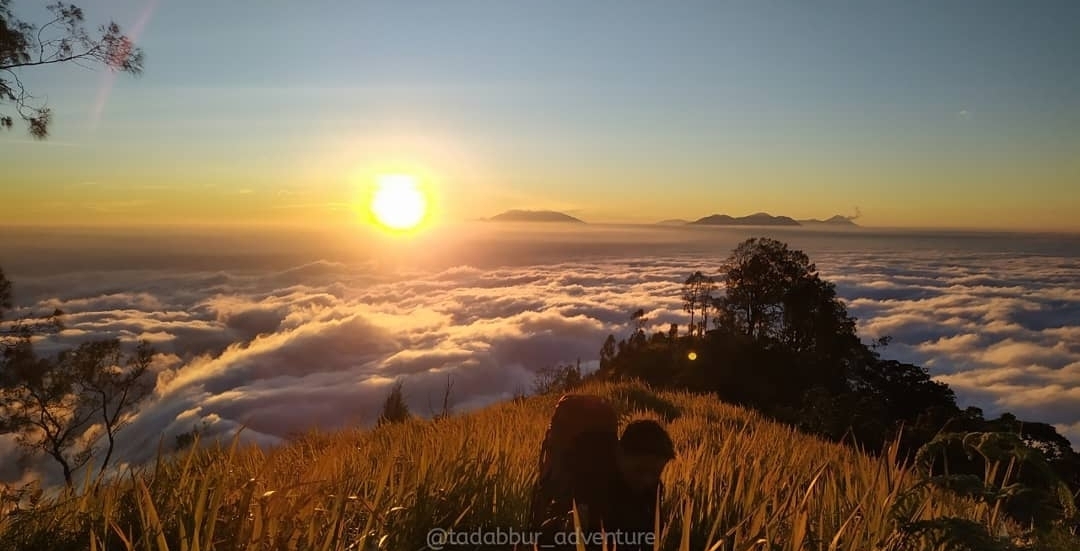 Rekomendasi tempat camping Gunung Wilis Madiun