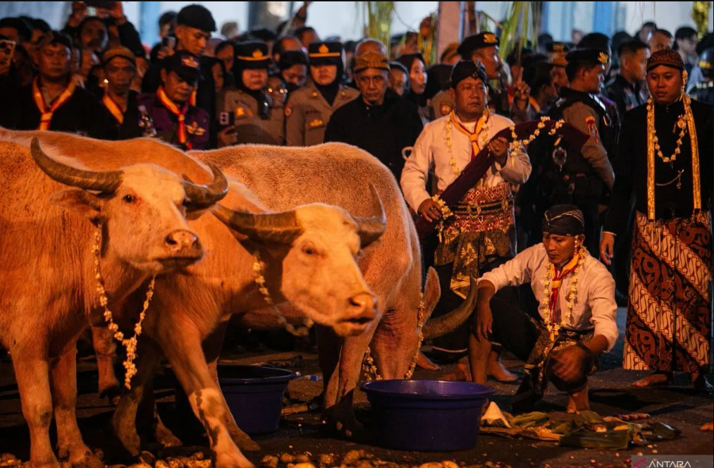 Kirab Satu Suro di Keraton Kasunanan Surakarta Hadiningrat, Solo, Jawa Tengah, 202).