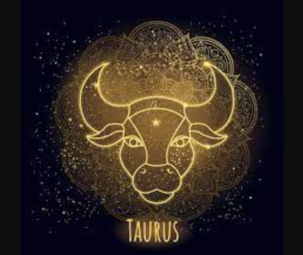 Taurus itu tenang, setia, pekerja keras dan nggak suka drama.