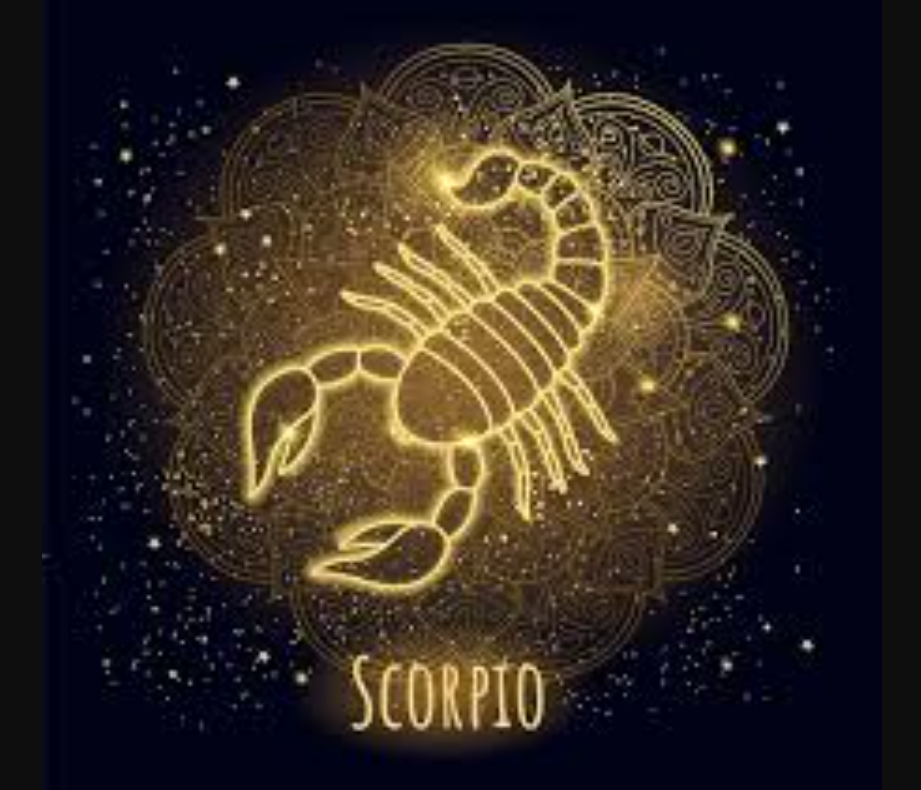 Scorpio itu nggak banyak omong, tapi hatinya dalam banget. Setia, kuat, dan selalu tahu cara bangkit dari keterpurukan.