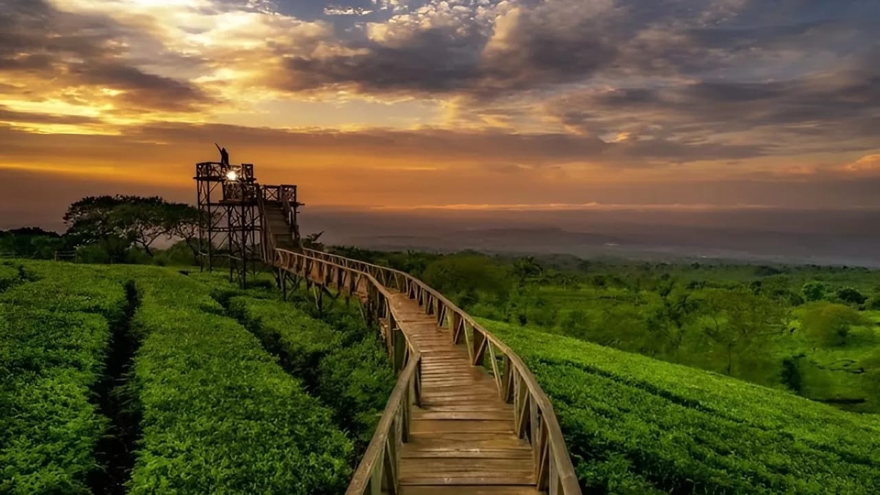 Bukit Kuneer; daya tarik, aktivitas seru, rute lokasi