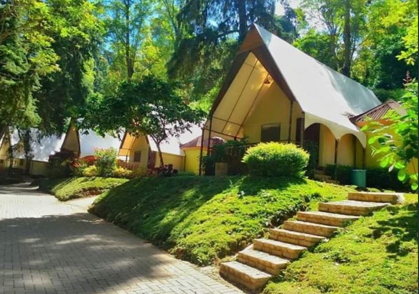 Honeymoon di Mojosemi Forest Park, Magetan.
