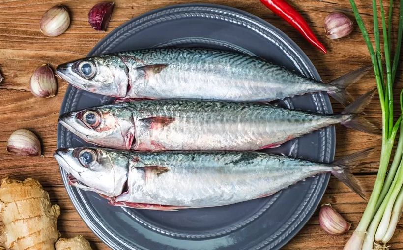 Ilustrasi ikan yang bisa bantu cerdaskan otak.