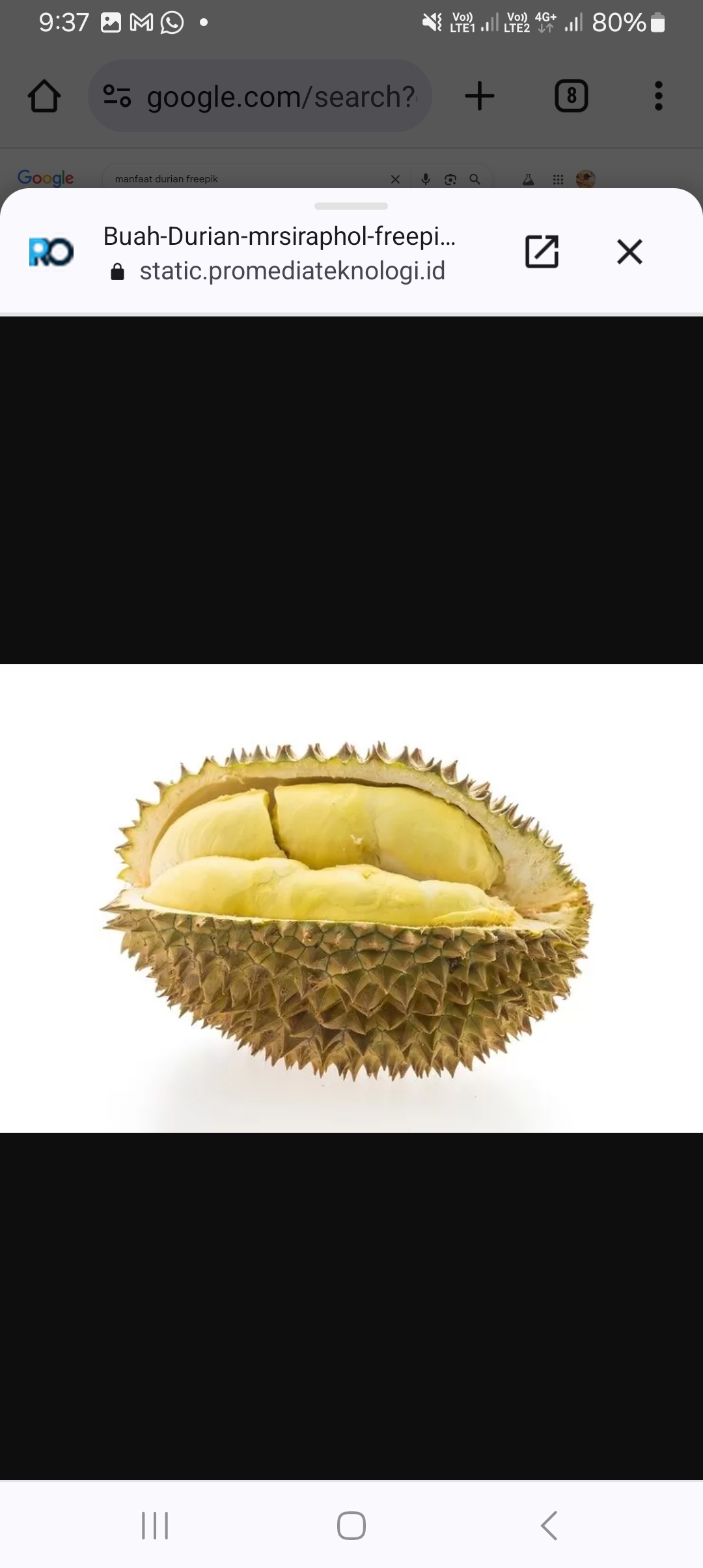 Ilustrasi manfaat durian bagi kesehatan.