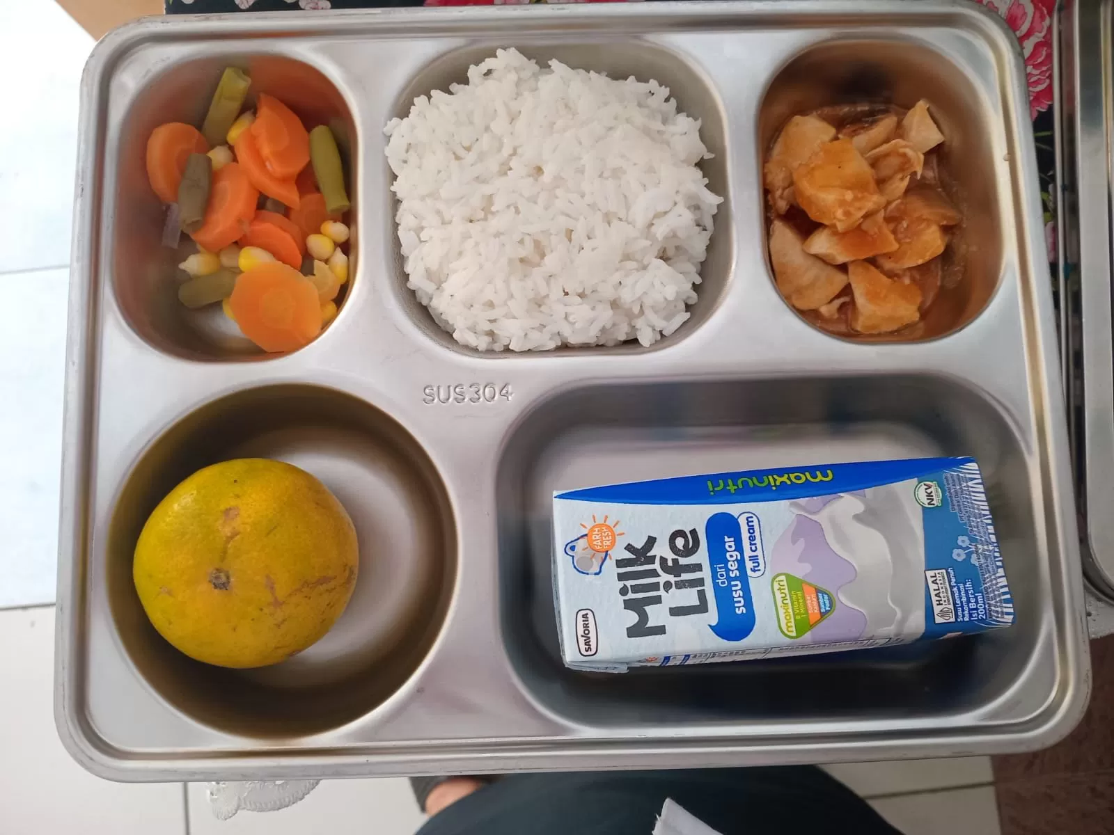 Program Makan Gratis Bergizi